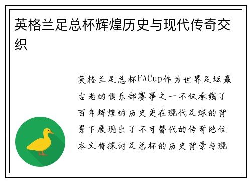 英格兰足总杯辉煌历史与现代传奇交织