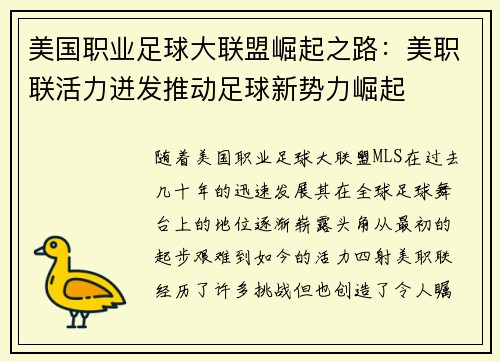 美国职业足球大联盟崛起之路：美职联活力迸发推动足球新势力崛起